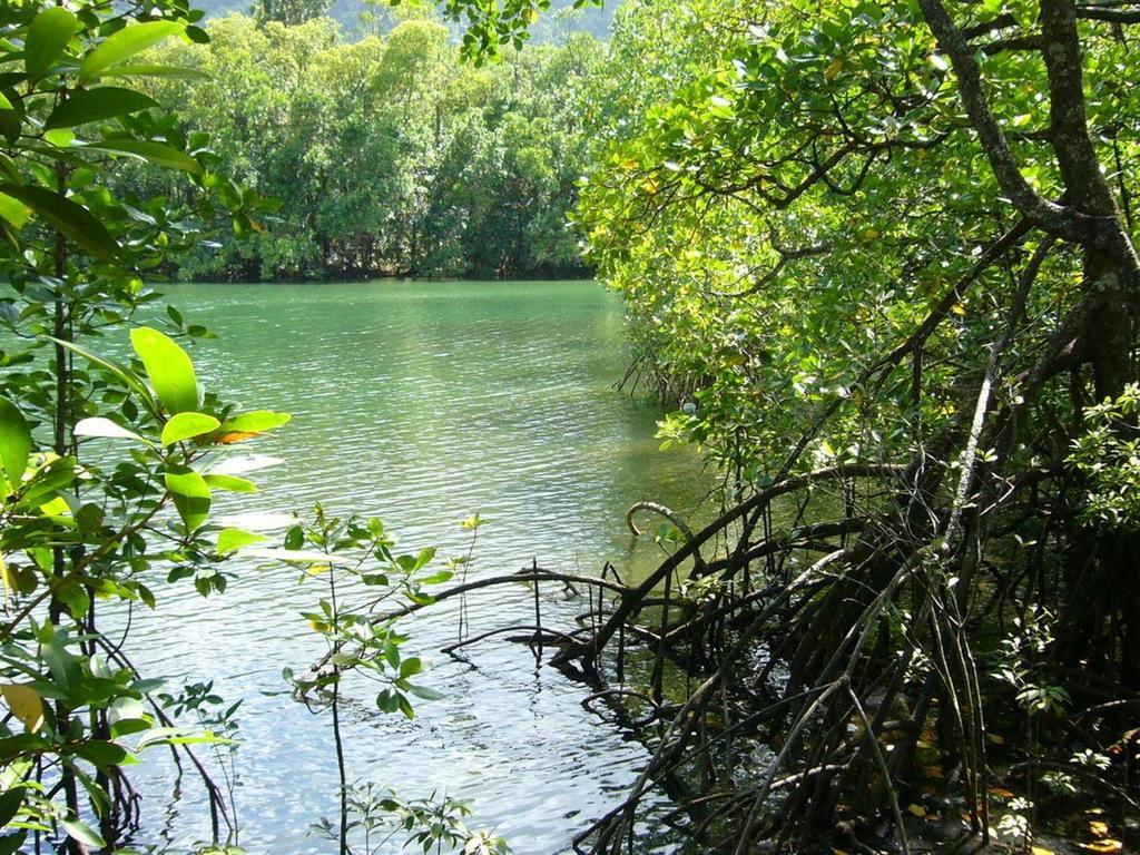 Port Douglas Retreat Eksteriør bilde